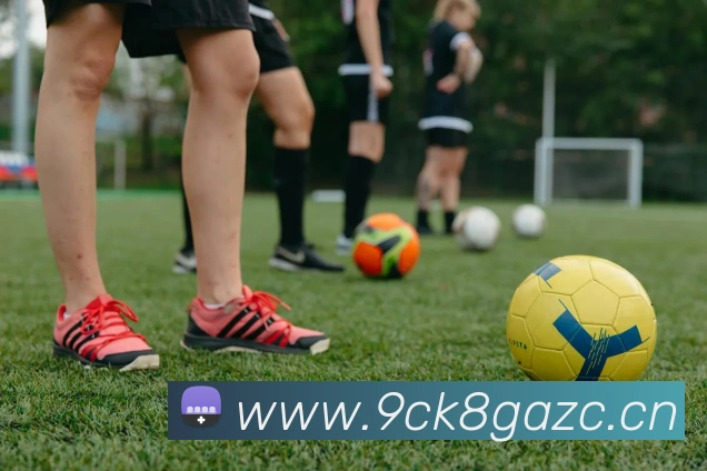 星空体育首页官方网站平台生态图